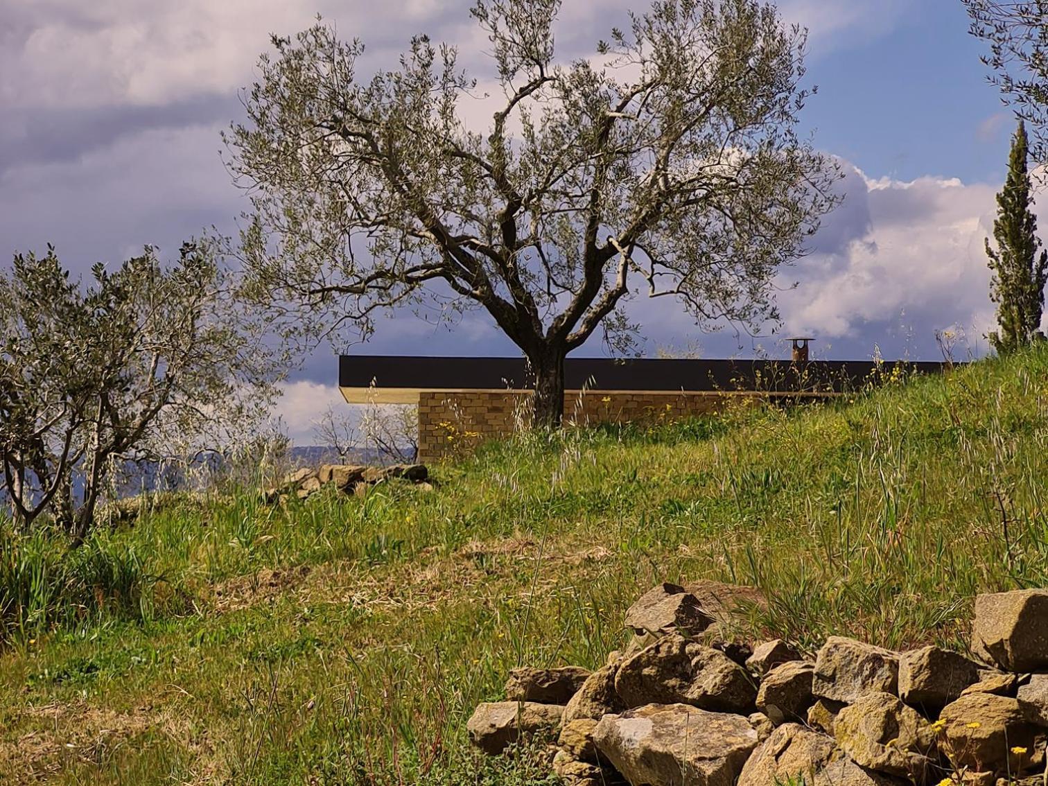 Poggio Cagnano Bed and Breakfast Manciano Eksteriør billede